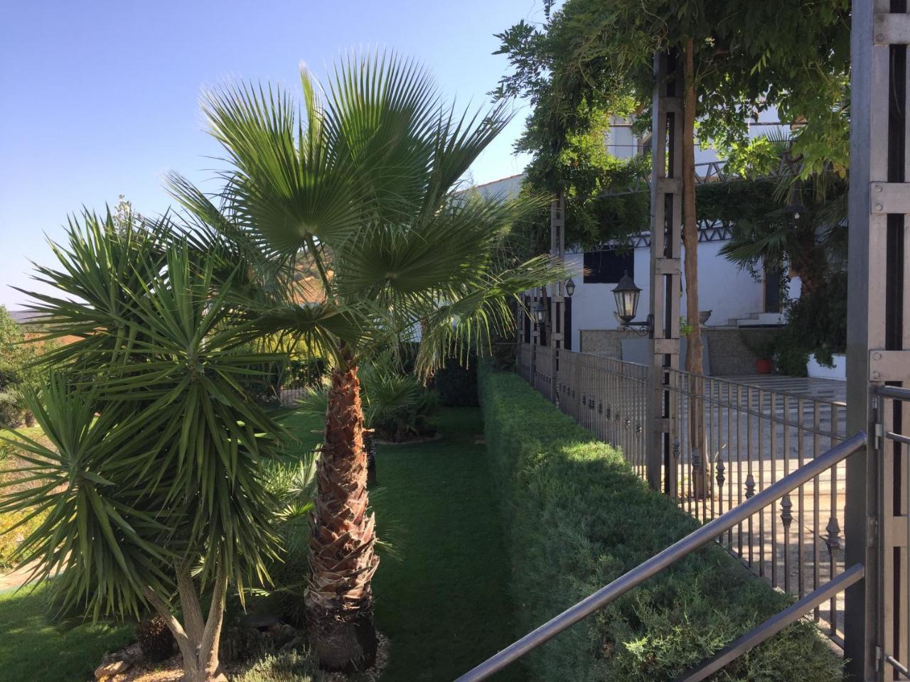 Apartamentos Atalayas Extremadura Сафра Екстер'єр фото